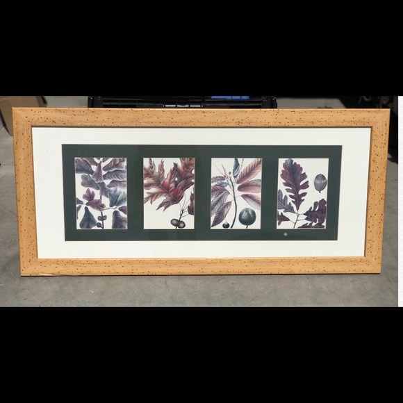 Fall Leaves Print - Matted Framed & Backed